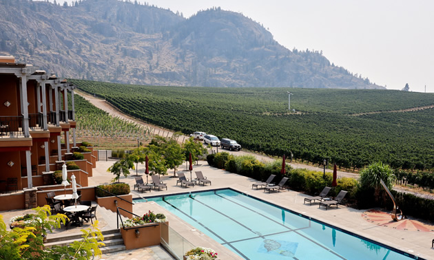 Enjoy a gorgeous setting while dining at Burrowing Owl.