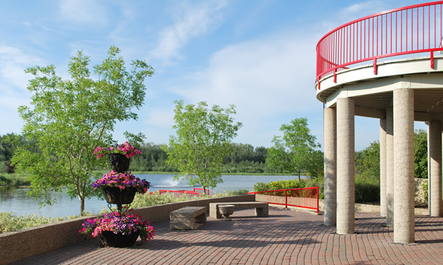 Lakeside walkway with three-tiered planter full of pink blossoms; lake, trees and fountain in the background