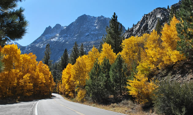 Autumn is a perfect time for a California road trip, with nature's glory in full colour. 