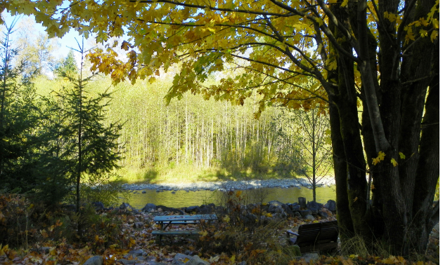 The fall colours are magnificent on the Bear Creek Trail.