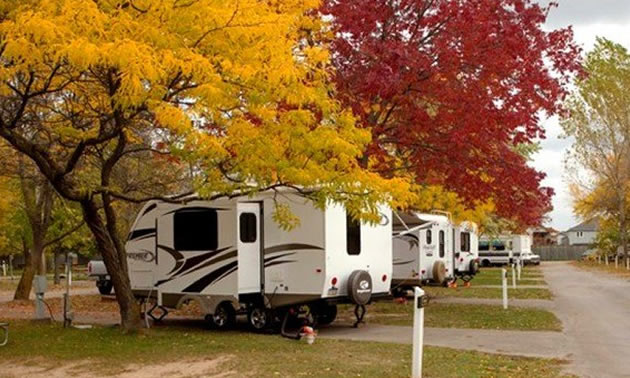 A row of campers in an RV park, with colourful red and yellow autumn trees lining the RV lots. 