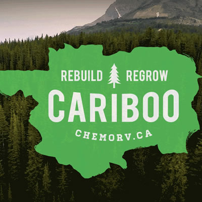 Graphic showing 'Rebuild - Regrow' promotion, with picture of forest in background. 