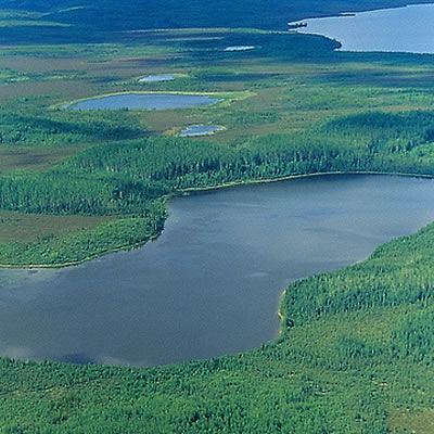 Aerial view of the Caribou Mountains. 