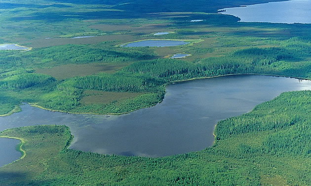 Aerial view of the Caribou Mountains. 