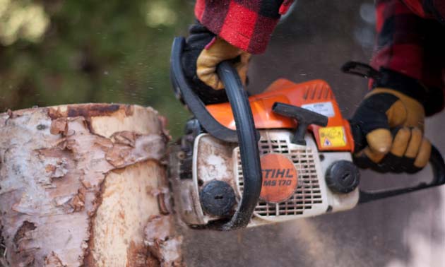 Chainsaws are designed to be efficient cutting tools, Use Caution!