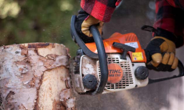 Chainsaws are designed to be efficient cutting tools, Use Caution! 