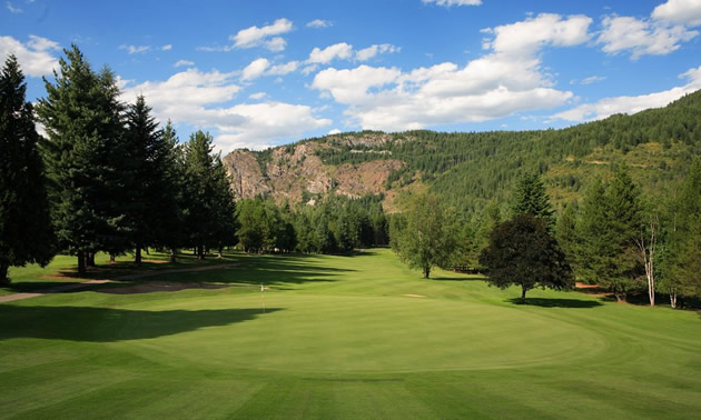 View of open golf course, trees in background.