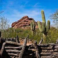 A desert mountain and saguaro cacti are behind a rustic fence.