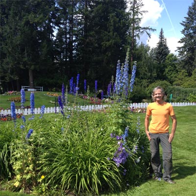 Dan Matheson, the manager, stands next to a blue delphinium  that is taller than he is.