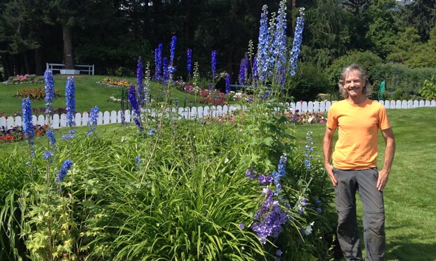 Dan Matheson, the manager, stands next to a blue delphinium that is taller than he is.
