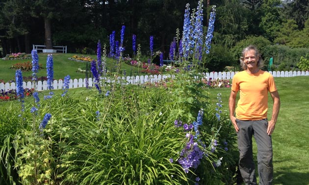 Dan Matheson, the manager, stands next to a blue delphinium  that is taller than he is.