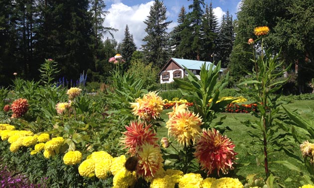 The gardeners' house is in the backdrop with beds of colourful flowers in front.