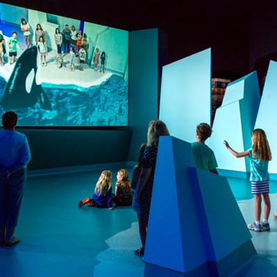 Group of kids standing on 'mock' iceberg, with AR Orca showing on big screen along with kids. 