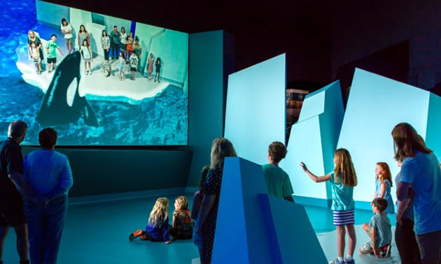 Group of kids standing on 'mock' iceberg, with AR Orca showing on big screen along with kids. 