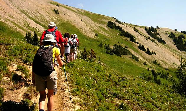 A group hikes along a trail just outside of Cranbrook, B.C.