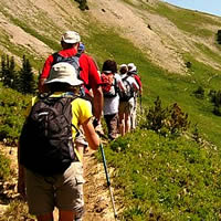 A group hikes along a trail just outside of Cranbrook, B.C.