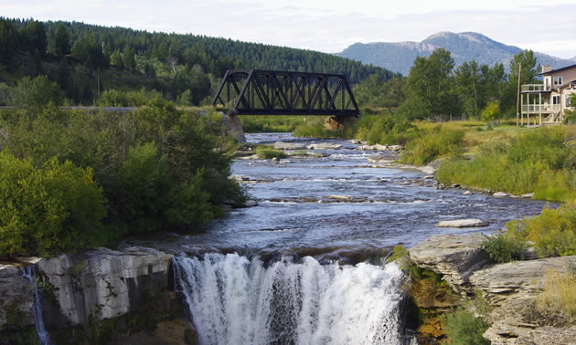 The Crowsnest River is one of Alberta’s premier rivers. 