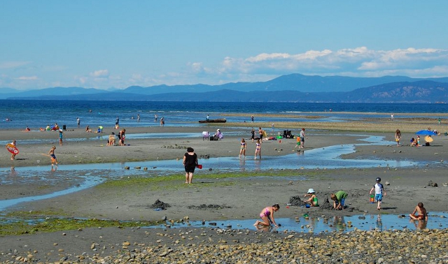 People on a beach