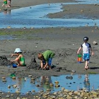 People on a beach