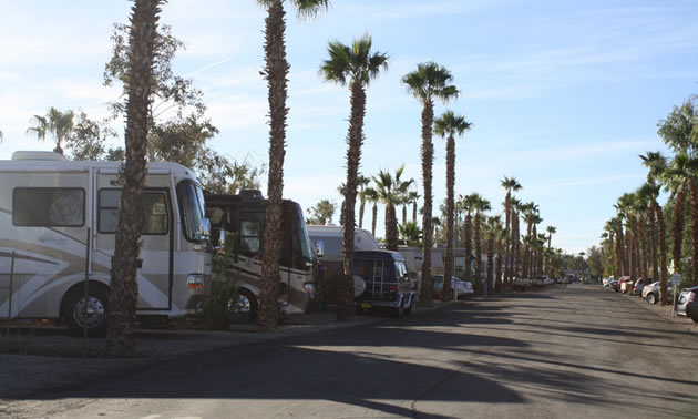View of RVs parked at Desert Trails RV Park