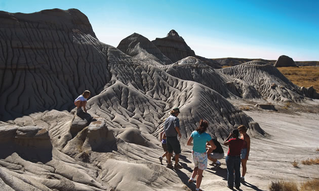 people gathered at a digsite at Dinosaur Provincial Park