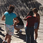 people gathered at a digsite at Dinosaur Provincial Park