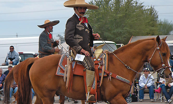 person riding a horse in the Carrot Festival Parade