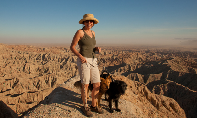 Woman and two dogs on a high ridge overlooking barren badlands