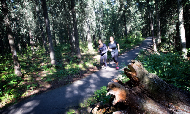 Fish Creek Community Forest