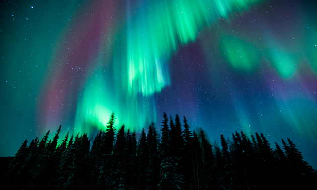 The northern lights over Fairbanks, Alaska.