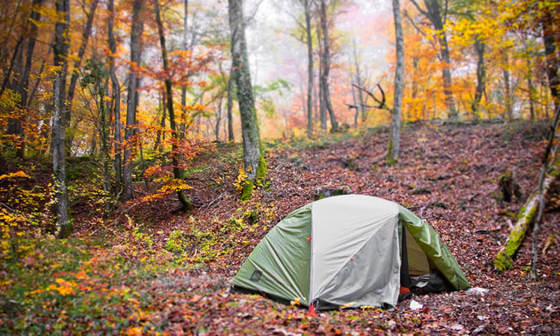 The 2017 Fall Camping Appreciation Weekend is on September 8-9. 