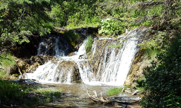 The falls at Big Hill Springs Provincial Park are spectacular.