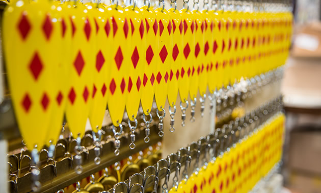 Of the 50 million Len Thompson lures put in fishers’ hands over the last 90 years, the yellow and red five of diamonds is the most popular.