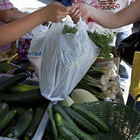 Summer market scene with a young female vendor handing a bag of produce to a smiling woman customer