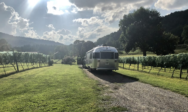 Trailer parked in grape orchard.