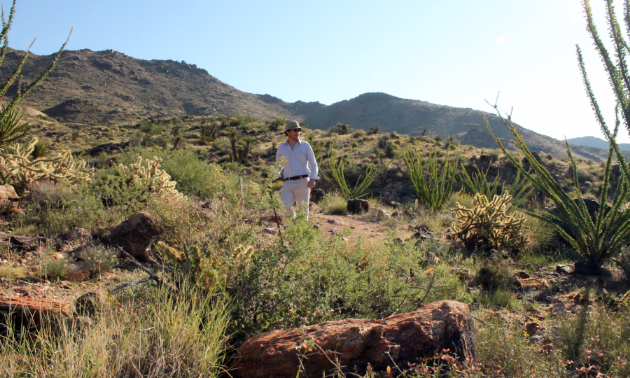 Photo of landscape around Lake Havasu