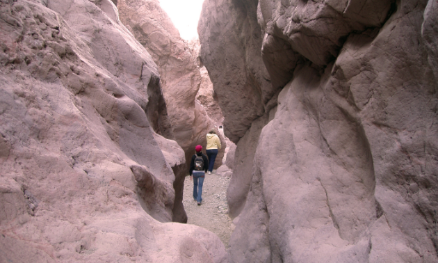 Experience Some Of Arizona s Best Hiking In Lake Havasu RVwest
