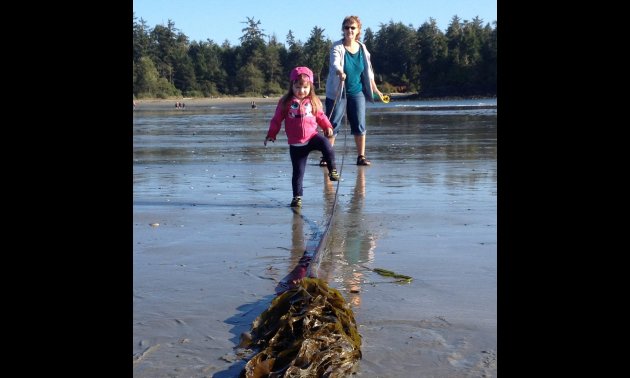 Grandmother and daughter on the shore of the ocean