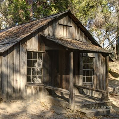 Old, weathered cabin in the woods. 