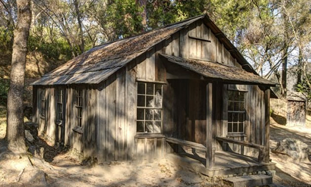 Old, weathered cabin in the woods.