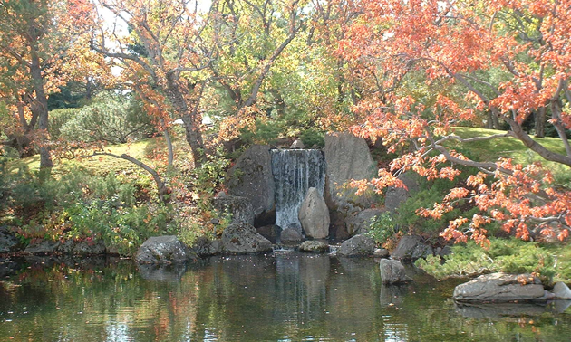 A serene pond found in Lethbridge's Nikka Yuko Japanese Garden.