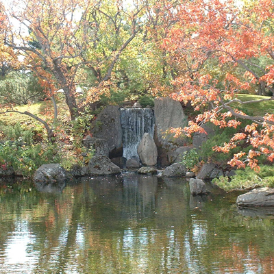 A serene pond found in Lethbridge's Nikka Yuko Japanese Garden.