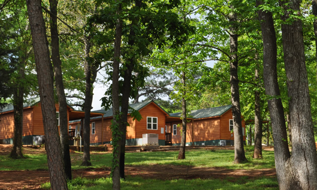Picture of wooden cabins seen through a grove of trees. 