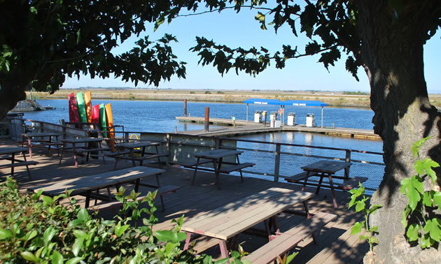 View of picnic benches and lake in background. 