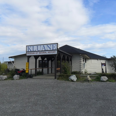 The Kluane Museum of Natural History is situated in Burwash Landing, Yukon