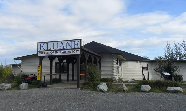 The Kluane Museum of Natural History is situated in Burwash Landing, Yukon