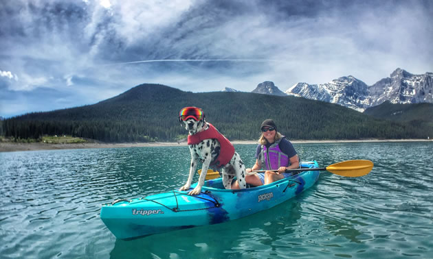 Traveler the Dalmatian is standing at the front of a kayak with Rashelle Elburg holding a paddle.