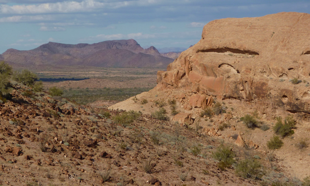 A scenic landscape in Kofa National Wildlife Refuge.