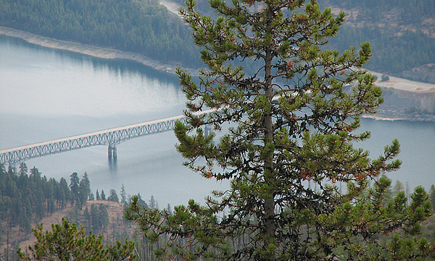 View of Lake Koocanusa Bridge, Eureka, Montana