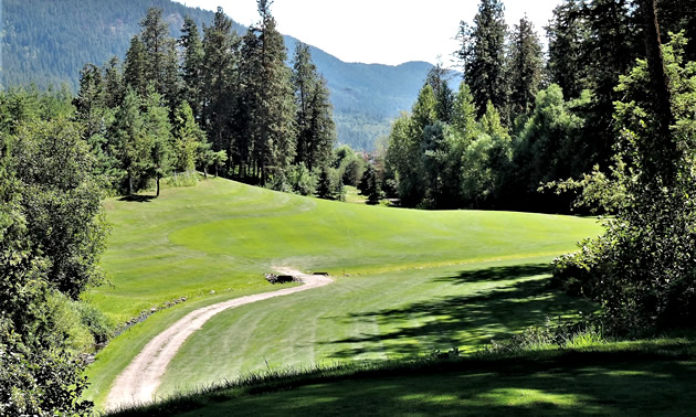 Hole No. 6 at Royal York Golf Course.